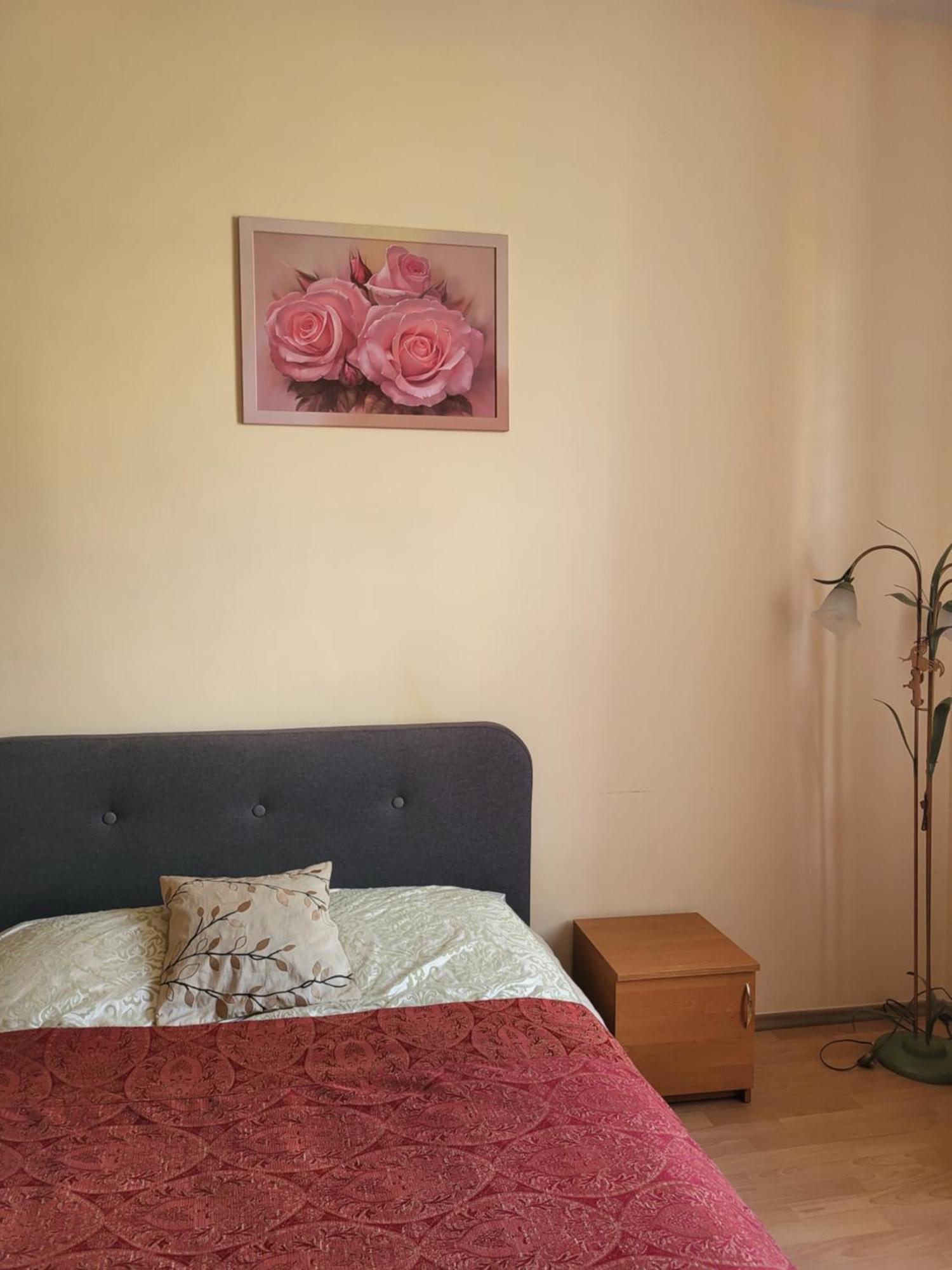 Apartment Near St. Elizabeth Church 利沃夫 外观 照片