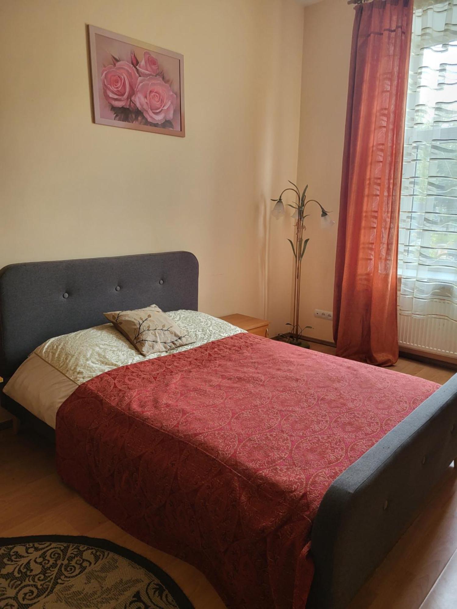 Apartment Near St. Elizabeth Church 利沃夫 外观 照片